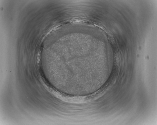 X0000085810032200704091618