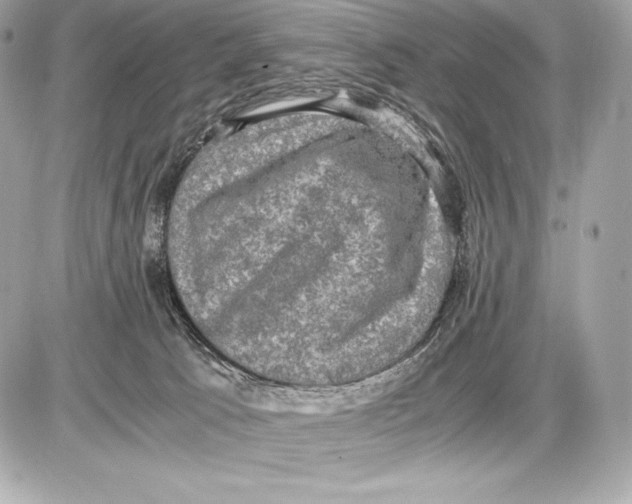 X0000085810033200704091618