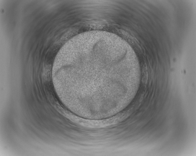 X0000085810034200704091618