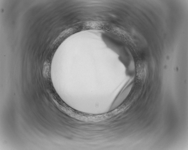 X0000085810036200704091618