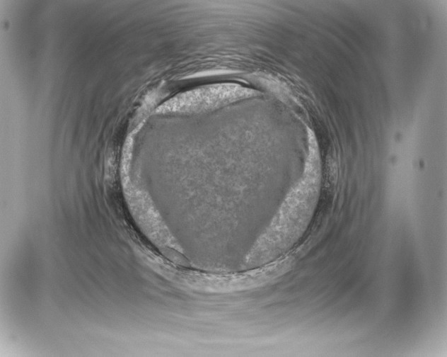 X0000085810037200704091618