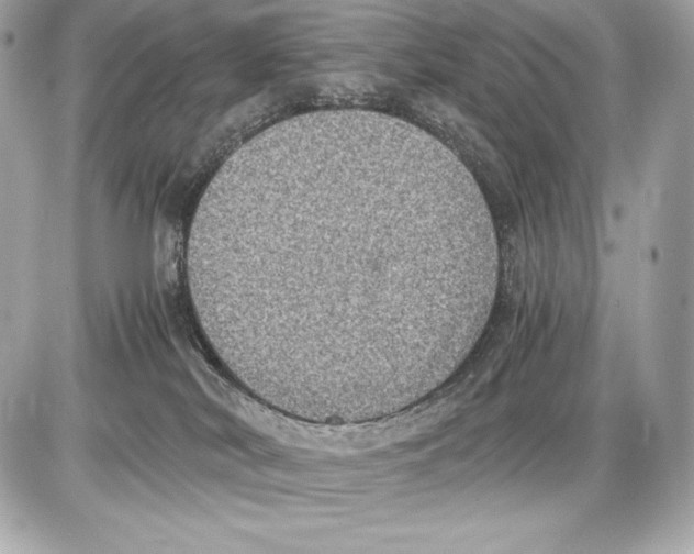 X0000085810038200704091618