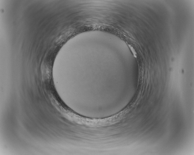 X0000085810039200704091618