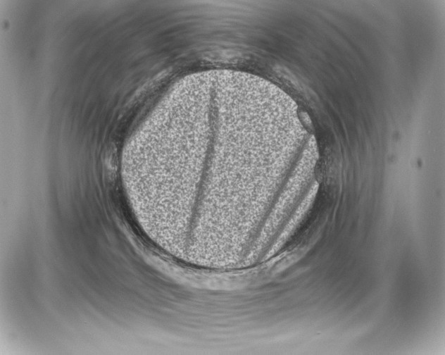 X0000085810040200704091618