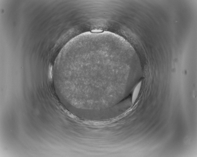 X0000085810041200704091618