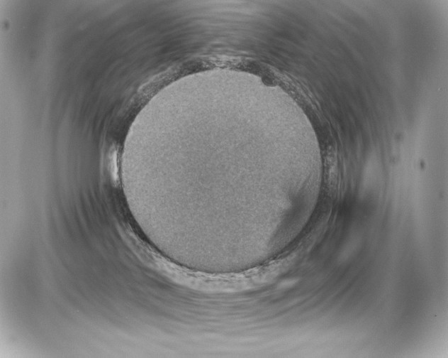 X0000085810042200704091618