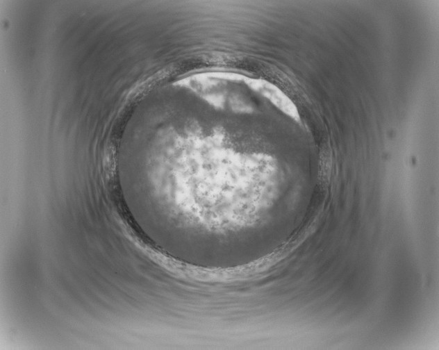 X0000085810043200704091618