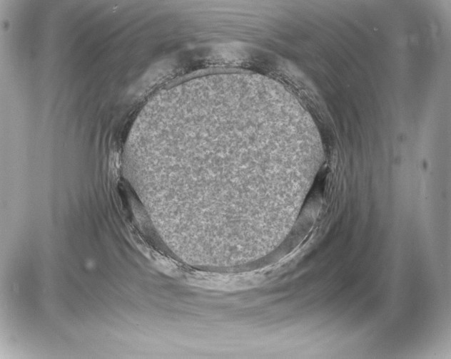 X0000085810045200704091618