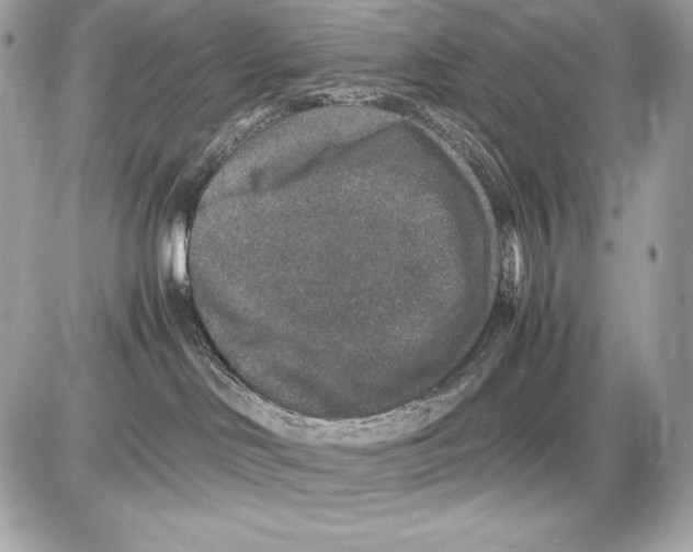 X0000085810046200704091618