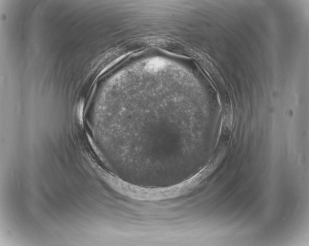 X0000085810047200704091618