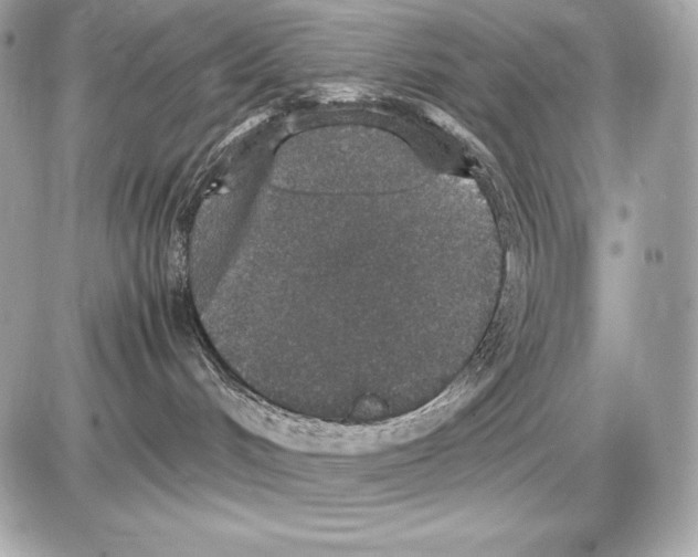 X0000085810048200704091618