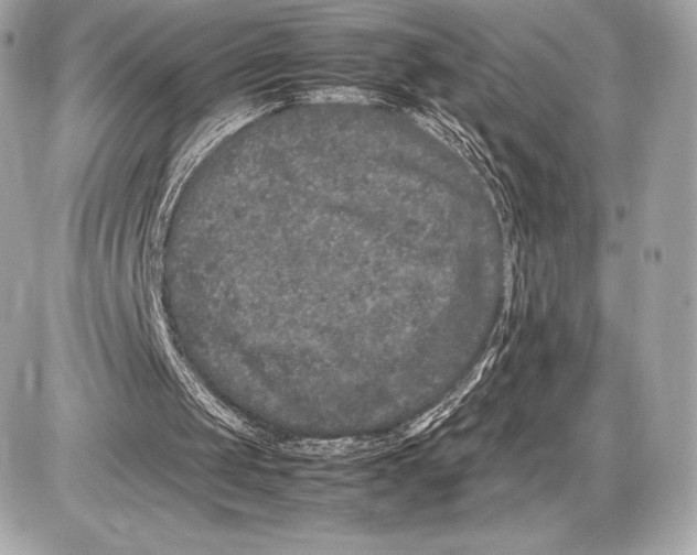 X0000085810049200704091617