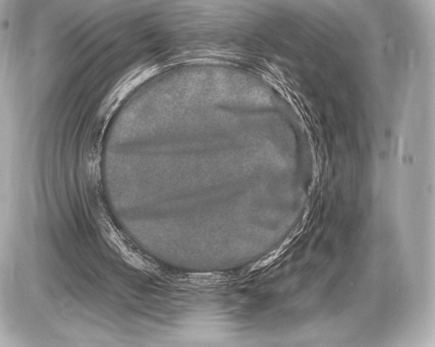 X0000085810050200704091617