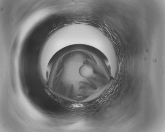 X0000085810052200704091617