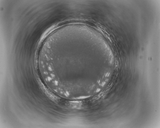 X0000085810053200704091617