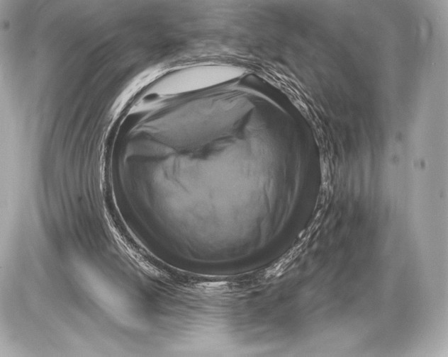 X0000085810054200704091617