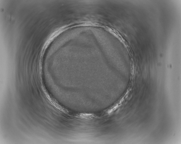 X0000085810055200704091617