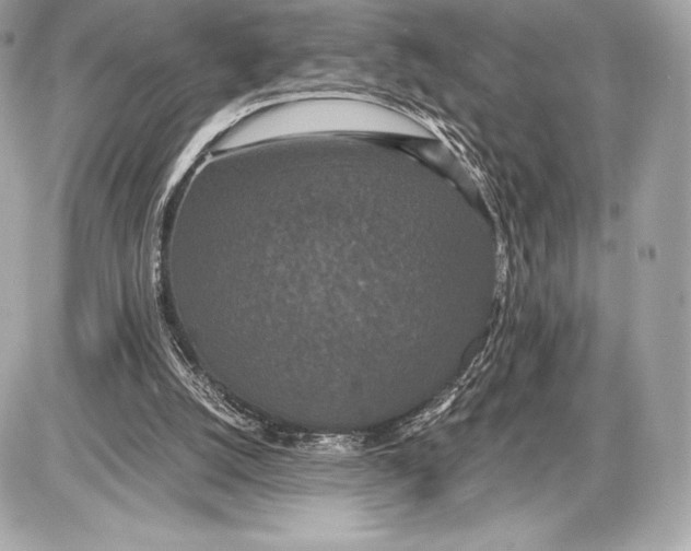 X0000085810056200704091617