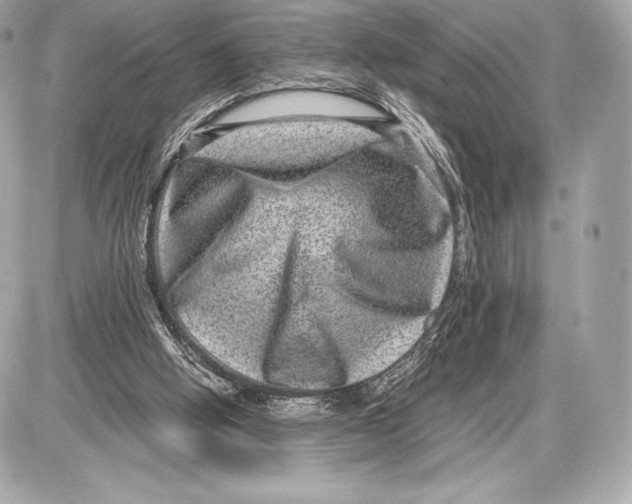 X0000085810058200704091617