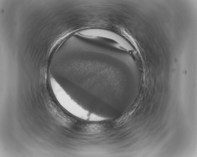 X0000085810059200704091617