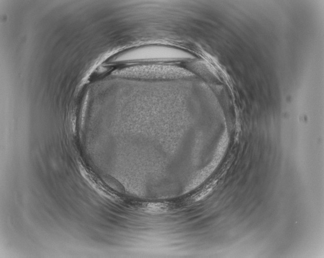 X0000085810060200704091617