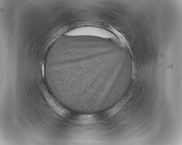 X0000085810061200704091617