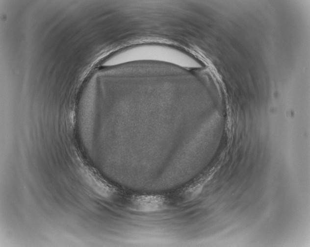 X0000085810063200704091617