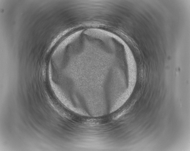 X0000085810064200704091617