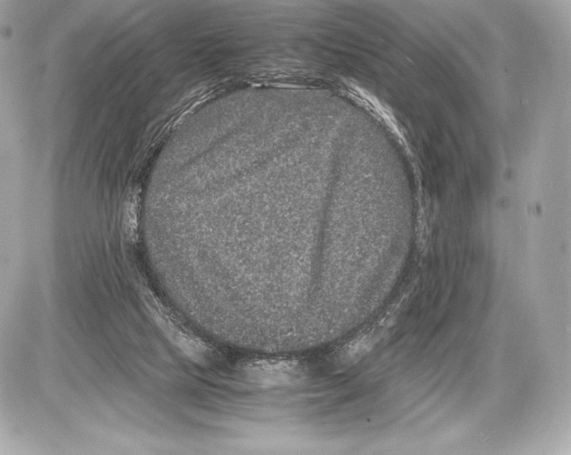 X0000085810065200704091617