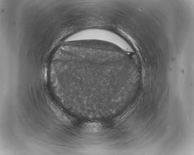 X0000085810067200704091617