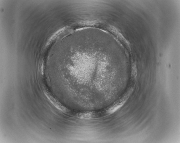 X0000085810068200704091617