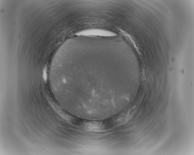 X0000085810069200704091617