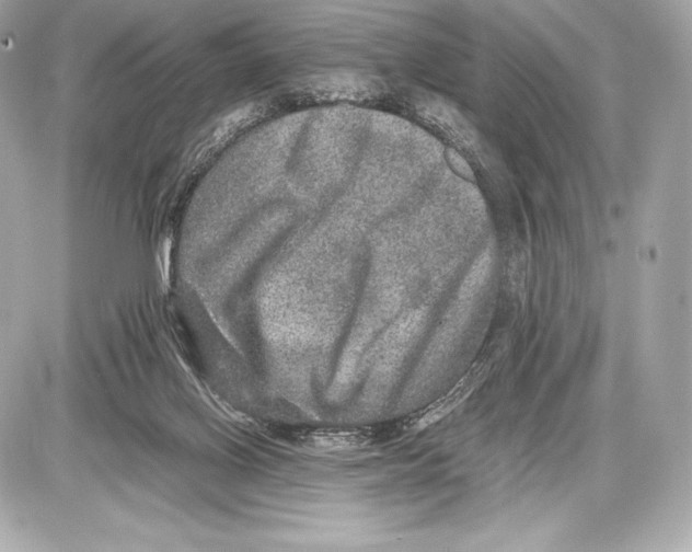 X0000085810070200704091617