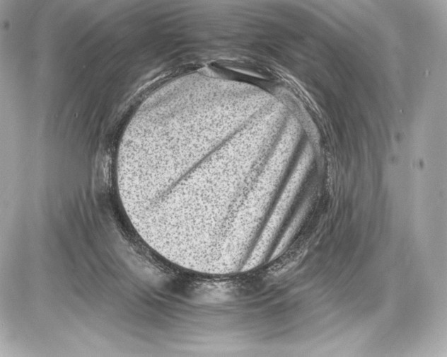 X0000085810071200704091617