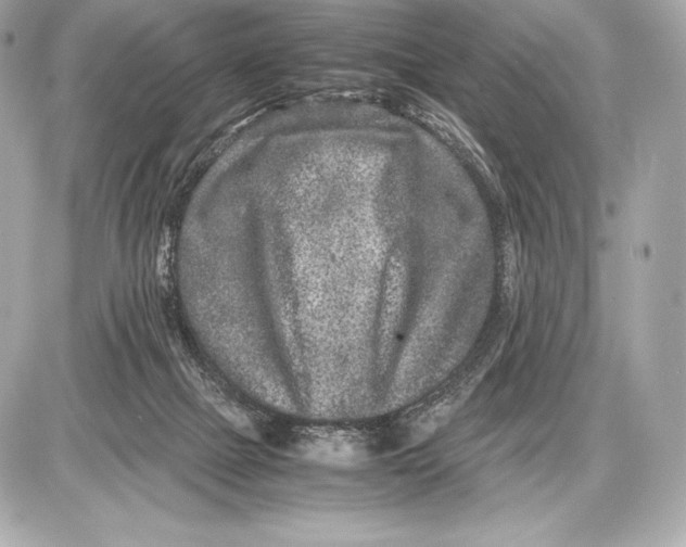 X0000085810073200704091617