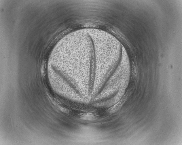 X0000085810074200704091617