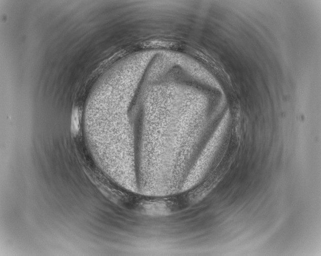 X0000085810075200704091617