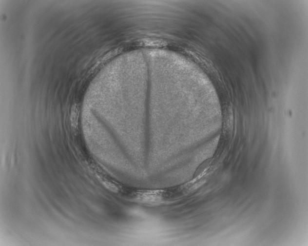 X0000085810078200704091617