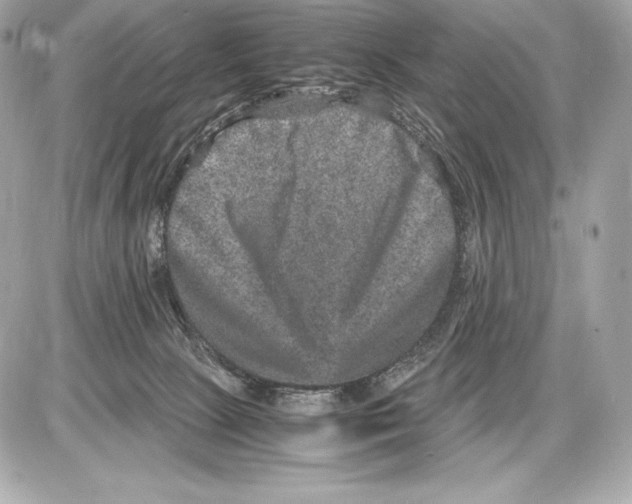 X0000085810081200704091617