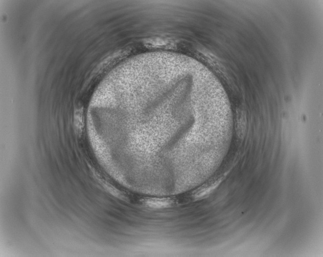 X0000085810085200704091617