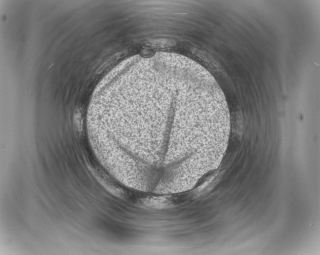 X0000085810086200704091617