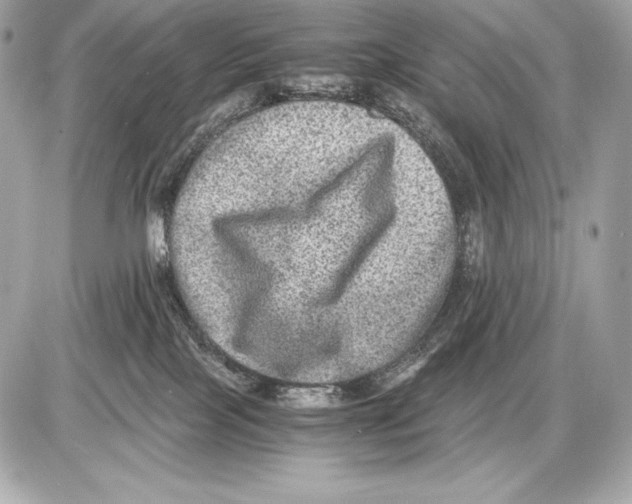 X0000085810089200704091617