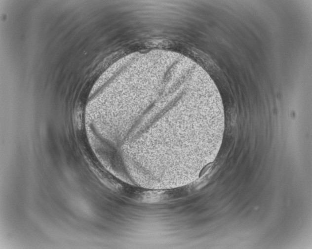 X0000085810090200704091617