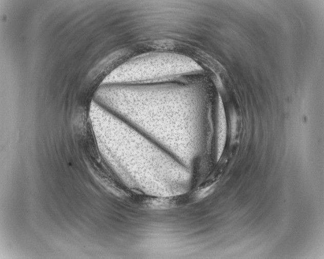 X0000085810092200704091618