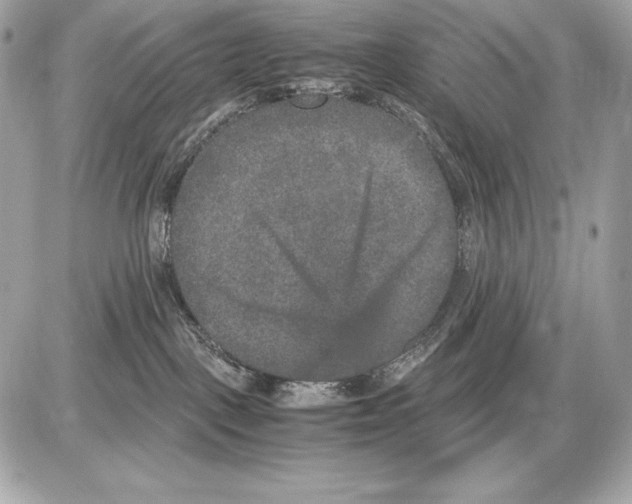 X0000085810093200704091618