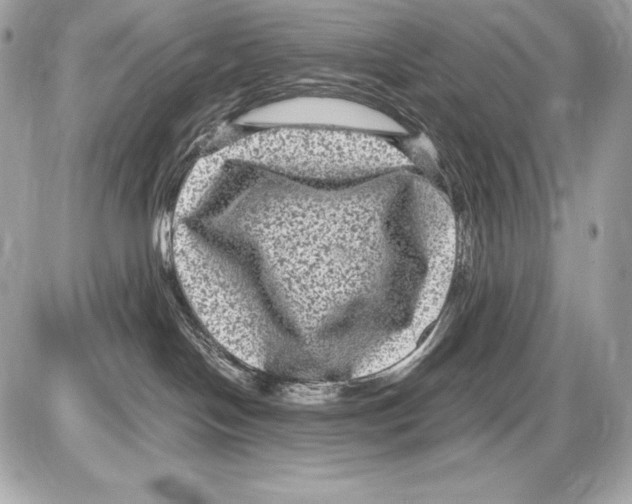 X0000085810094200704091618