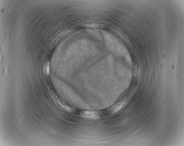 X0000085810095200704091618