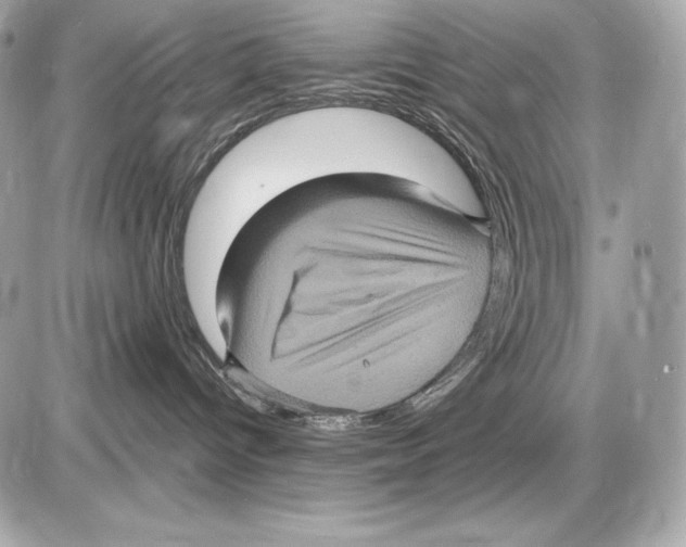 X0000085810096200704091618