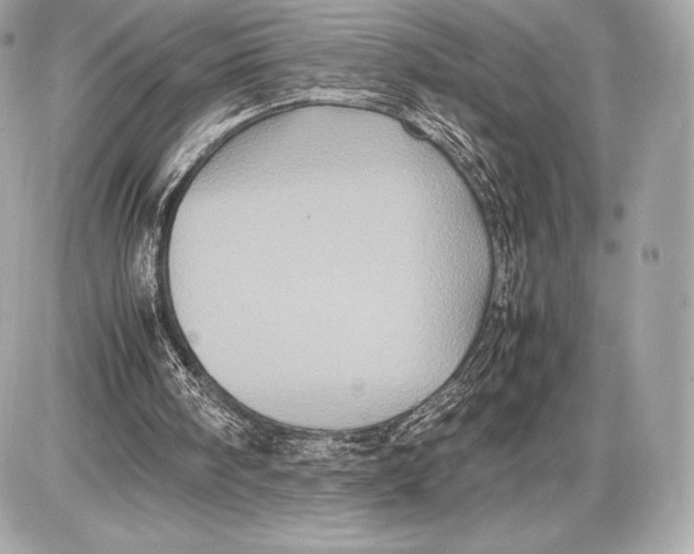 X0000085810098200704091617