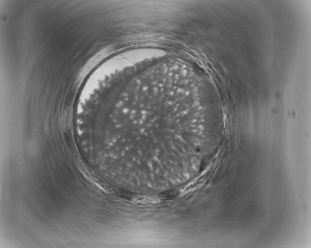 X0000085810099200704091617